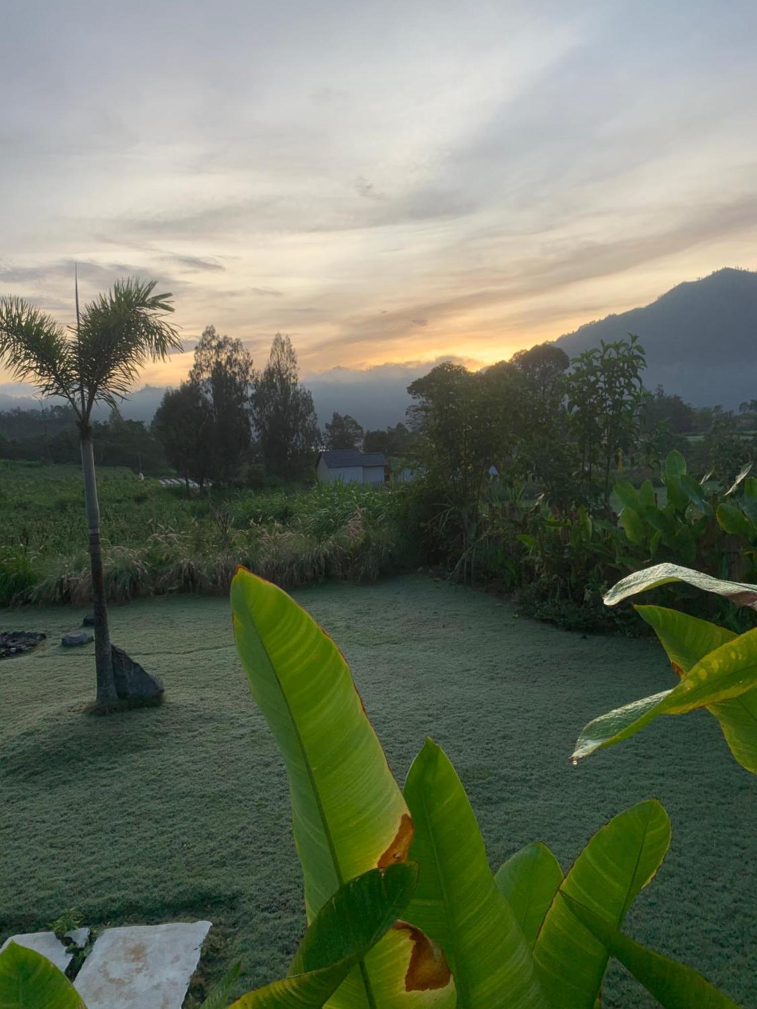 Bali Lesung Hotel Kintamani  Exterior photo